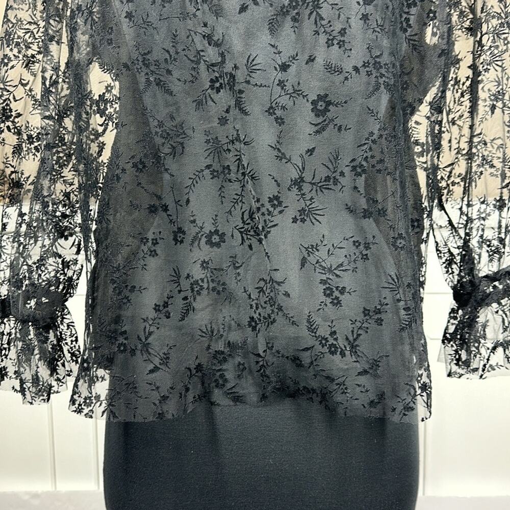 Zara Floral Tulle Ruffle Trim Blouse Top Black Sheer Velvet Lace Whimsigoth Sz L - Picture 5 of 13